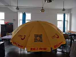 防風(fēng)超大太陽傘